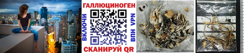 Купить Кологрив Псилоцибиновые грибы прущие грибы